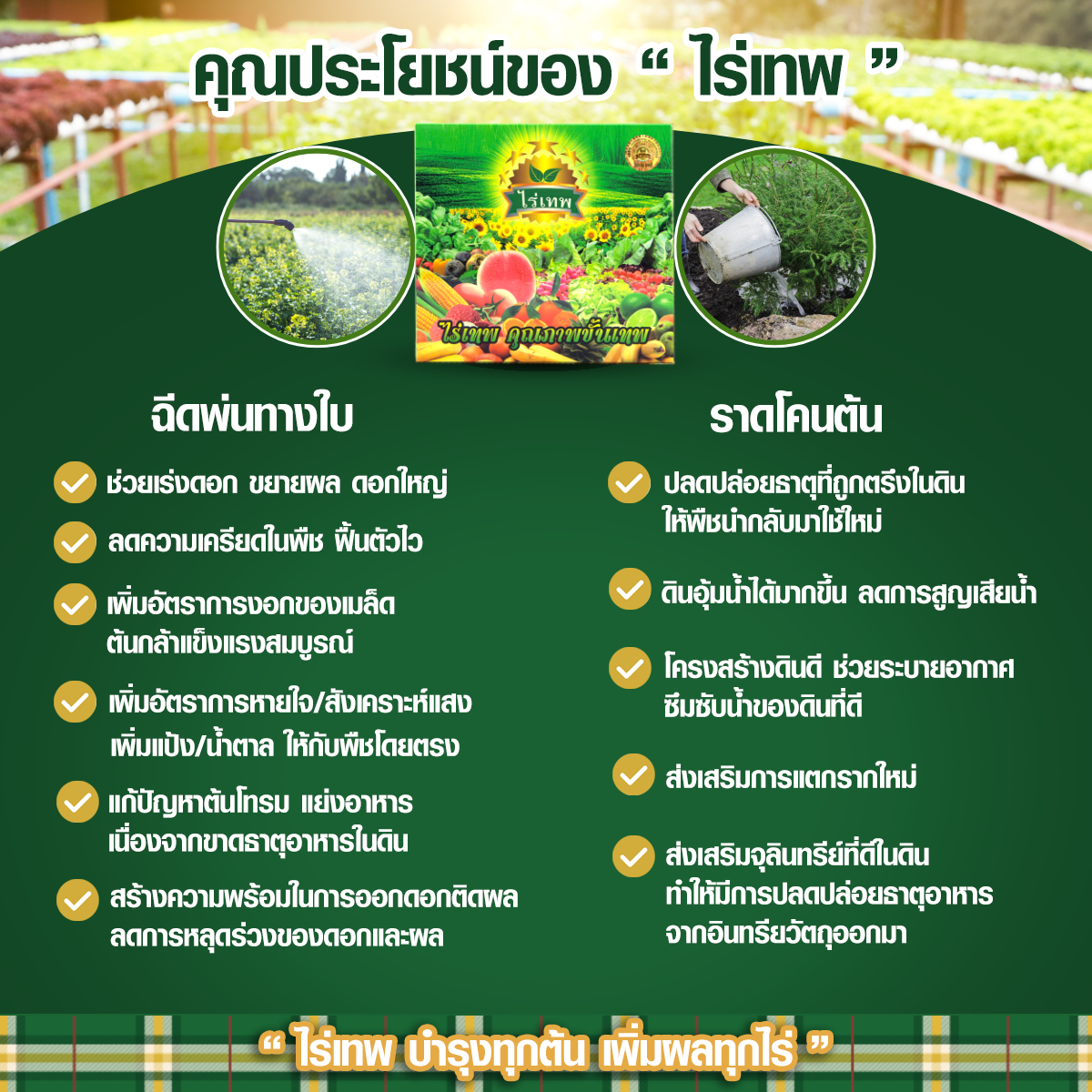 คุณประโยชน์ไร่เทพ