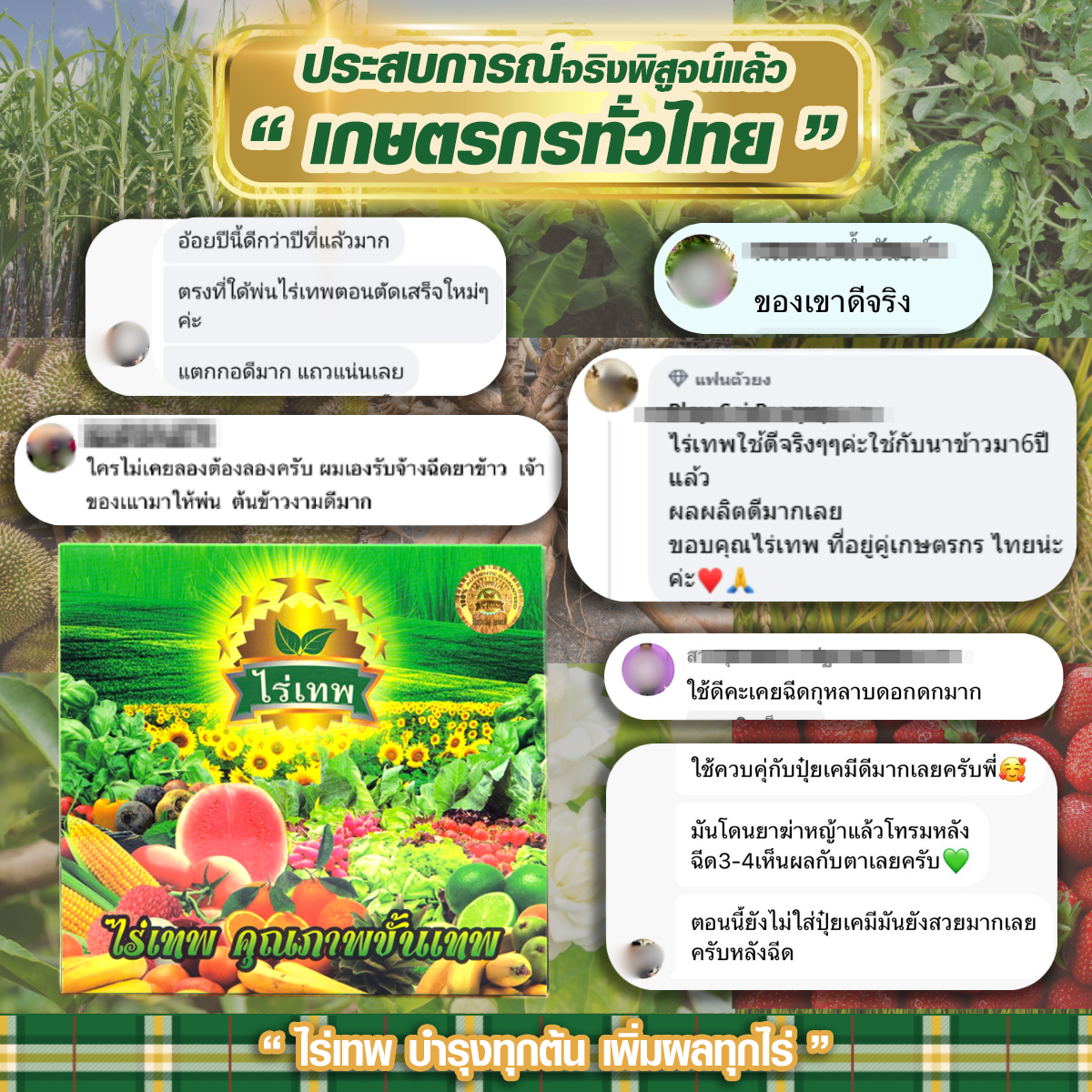 รีวิวรวมเม้น ไร่เทพ เขียว