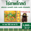 ไร่เทพโกลด์ 1 กล่อง (10 ซอง) แถม 2 ซอง แถม หมวก เสริมดอก ออกผลไว ทนฝน ทนแล้ง เพิ่มผลผลิต