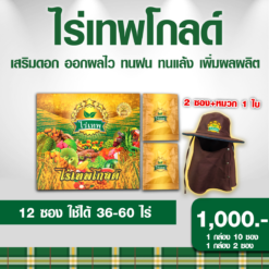 ไร่เทพโกลด์ 1 กล่อง (10 ซอง) แถม 2 ซอง แถม หมวก เสริมดอก ออกผลไว ทนฝน ทนแล้ง เพิ่มผลผลิต