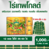 ไร่เทพโกลด์ 1 กล่อง (10 ซอง) แถม 2 ซอง แถม เสื้อ เสริมดอก ออกผลไว ทนฝน ทนแล้ง เพิ่มผลผลิต
