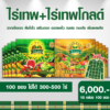 โปรชุดเสริมพลังพืช ไร่เทพ 5 กล่อง (50 ซอง) + ไร่เทพโกลด์ 5 กล่อง (50 ซอง)