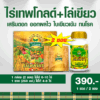 ไร่เทพโกลด์ 2ซอง +โล่เขียว 250ml