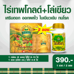ไร่เทพโกลด์ 2ซอง +โล่เขียว 250ml