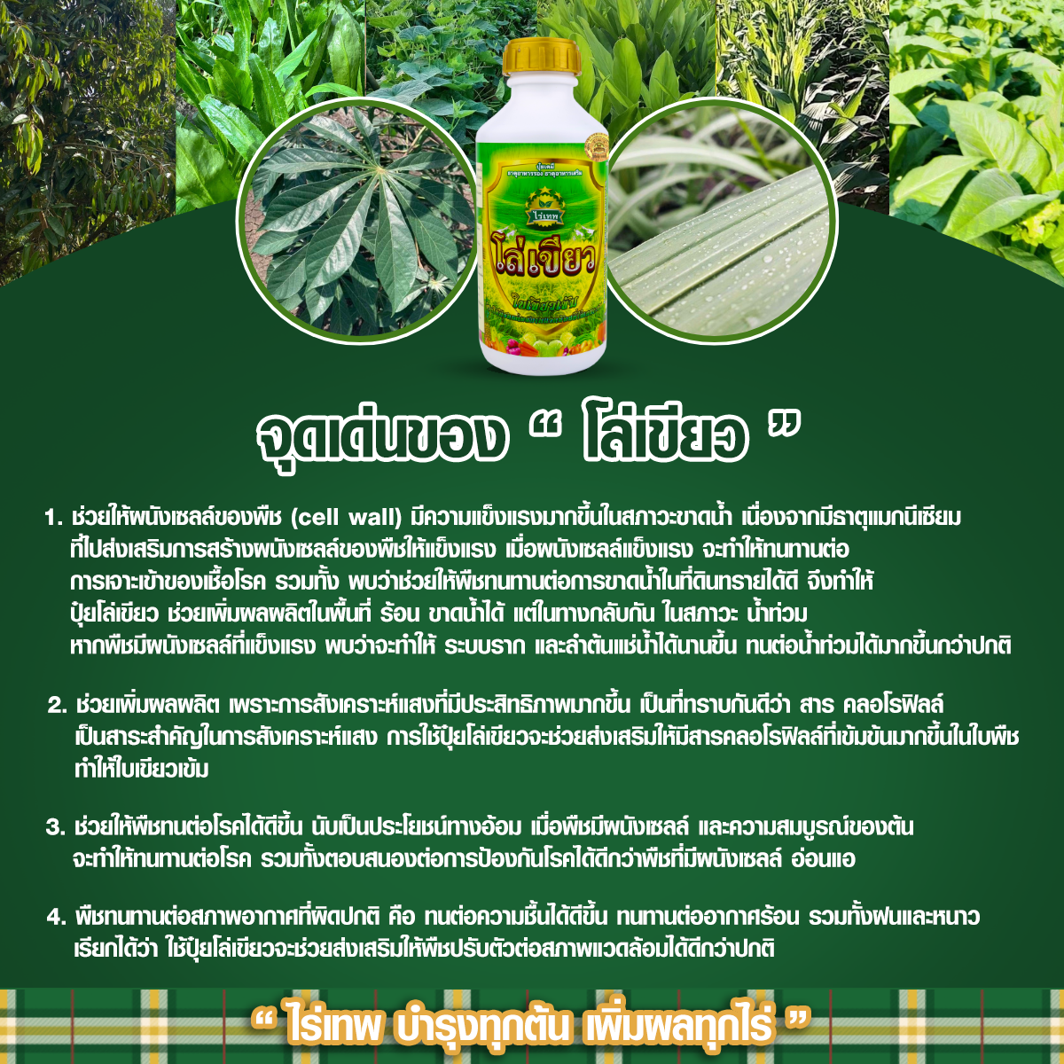 จุดเด่นโล่เขียว