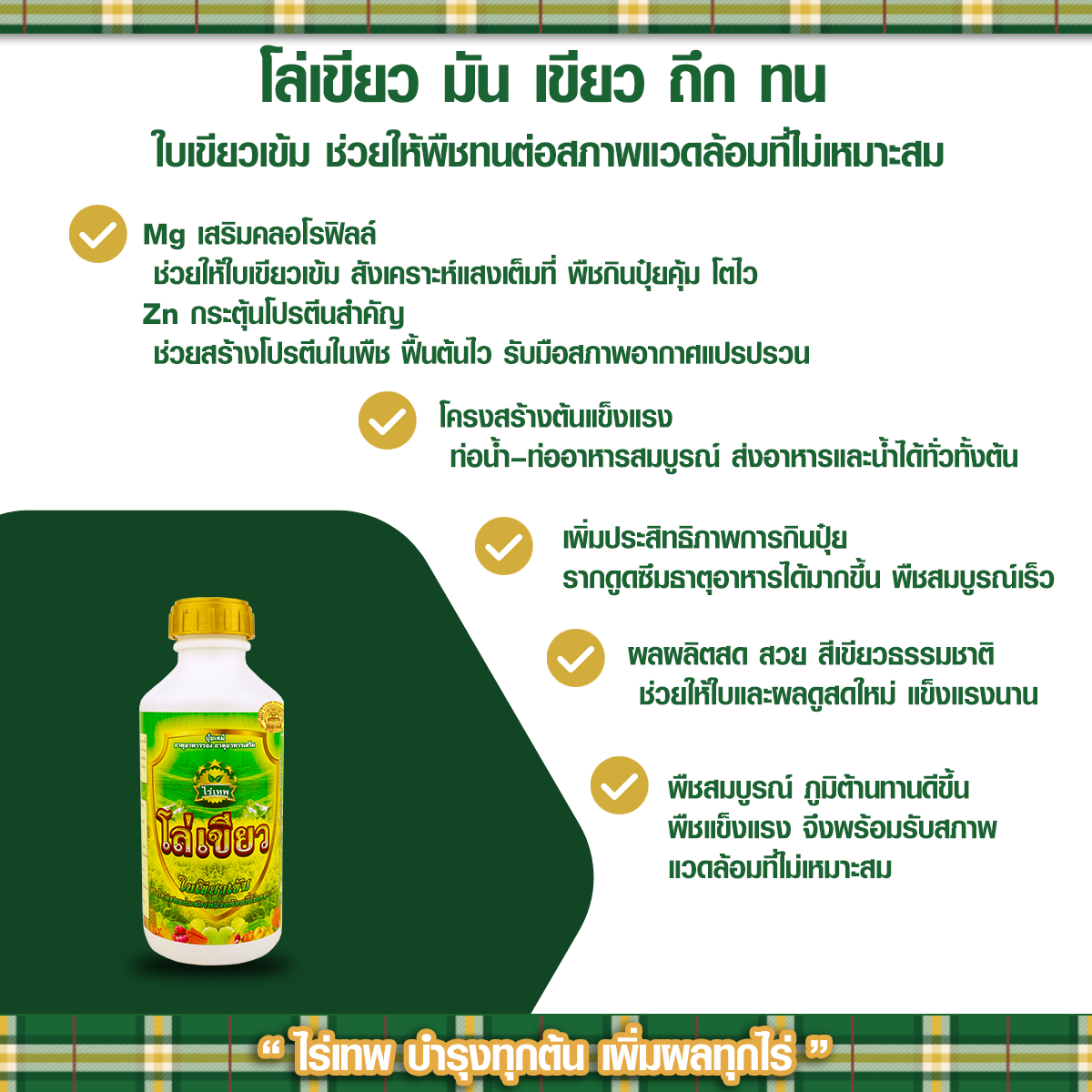 รายละเอียดโล่เขียว