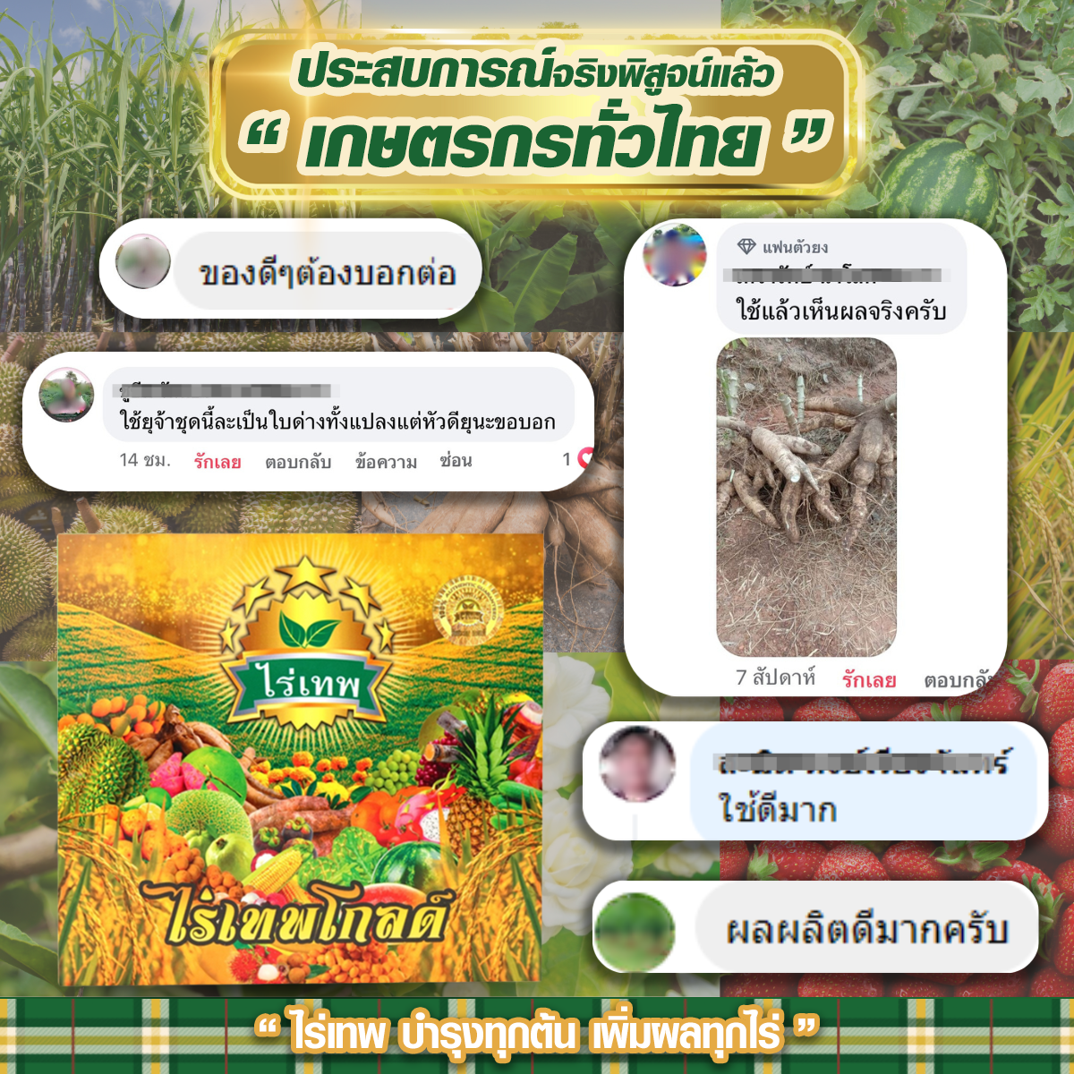 รีวิวรวมเม้น ไร่เทพโกลด์