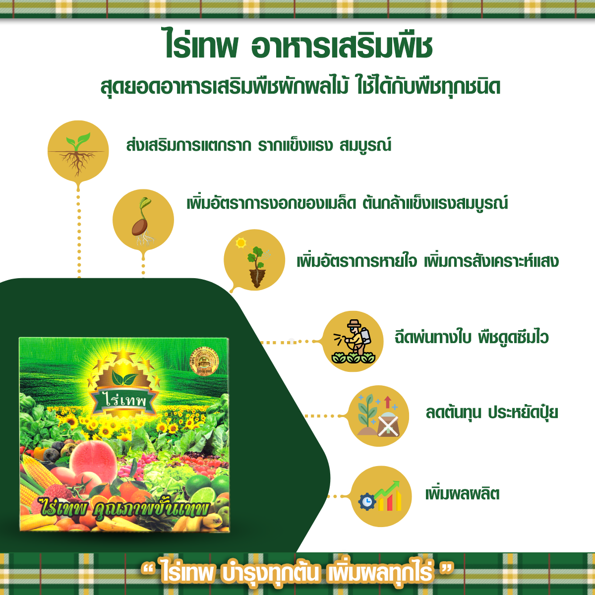 รายละเอียด ไร่เทพ