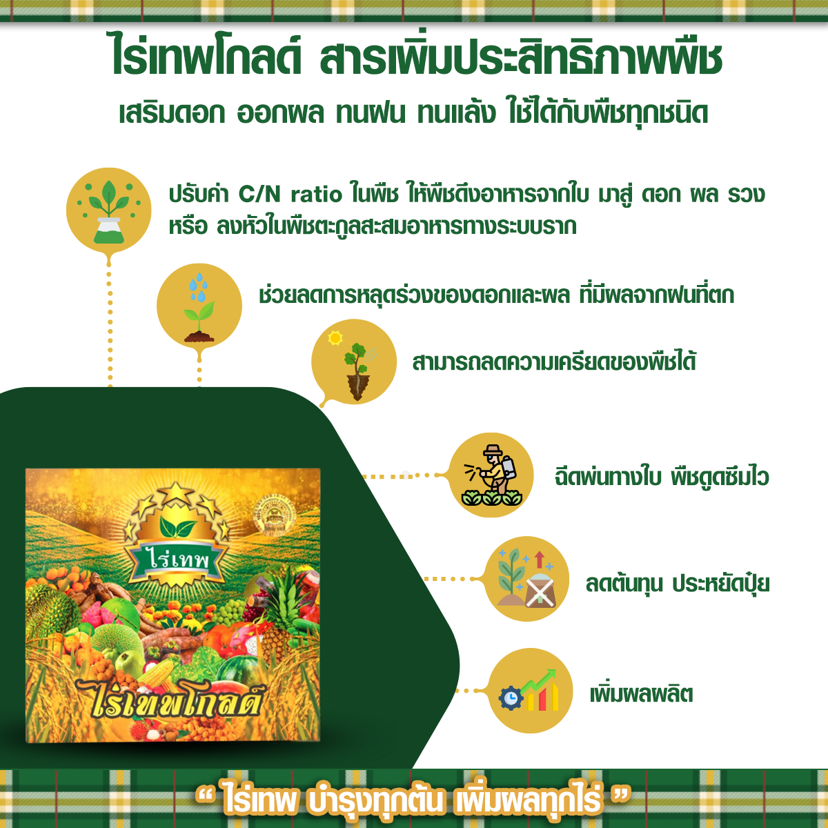 รายละเอียด ไร่เทพโกลด์ ออนไลน์