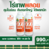 ไร่เทพ พลอย 2 ขวด 2000 ml คุมใบอ่อน ดันดอกใหญ่ ได้ผลหนัก (คัดลอก)