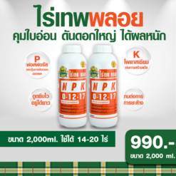 ไร่เทพ พลอย 2 ขวด 2000 ml คุมใบอ่อน ดันดอกใหญ่ ได้ผลหนัก (คัดลอก)