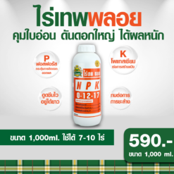 ไร่เทพ พลอย 1 ขวด 1000 ml คุมใบอ่อน ดันดอกใหญ่ ได้ผลหนัก